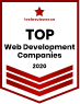 Top web development companies